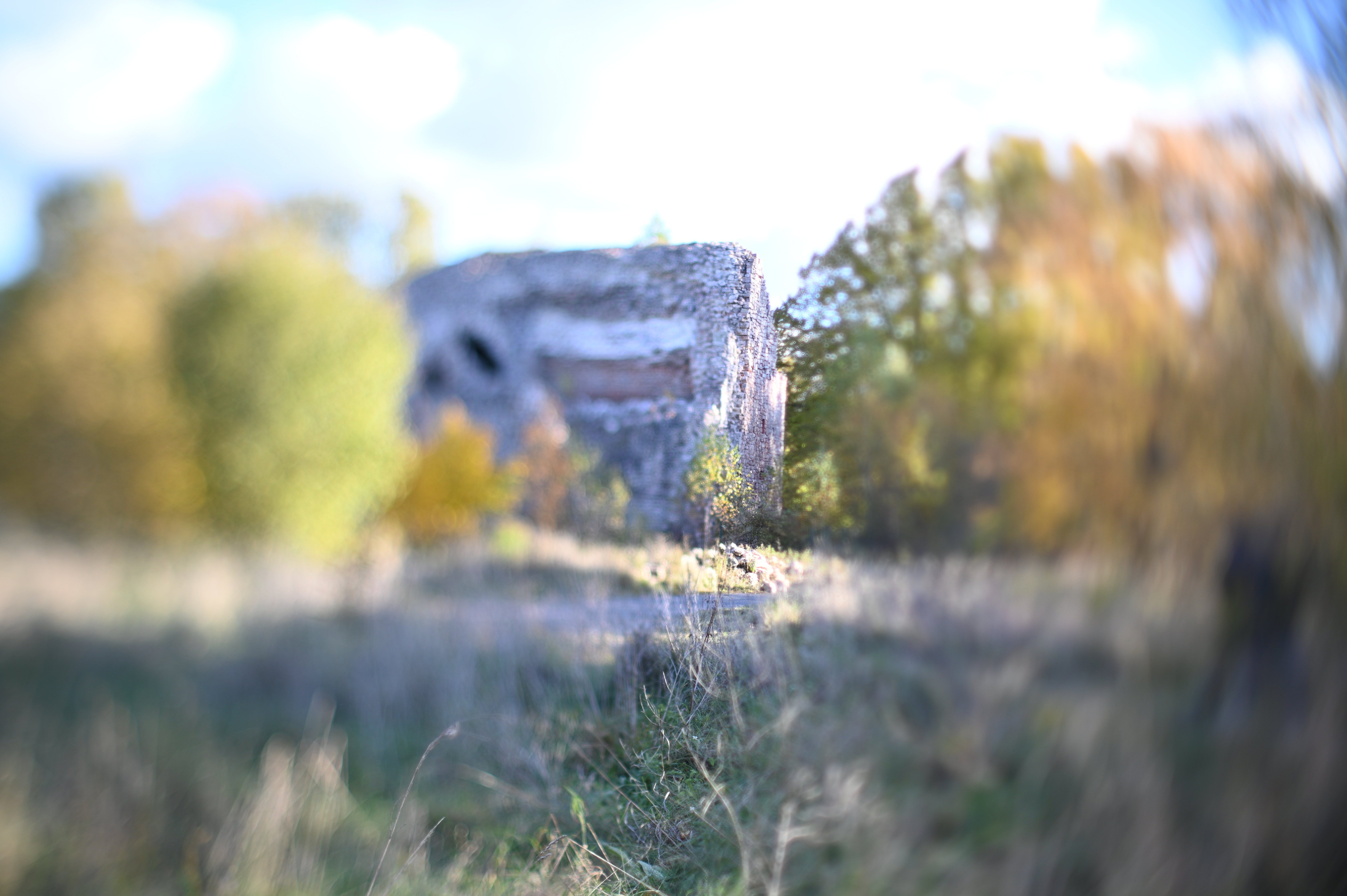 2025/10/18 - walk/DSC_0060.JPG